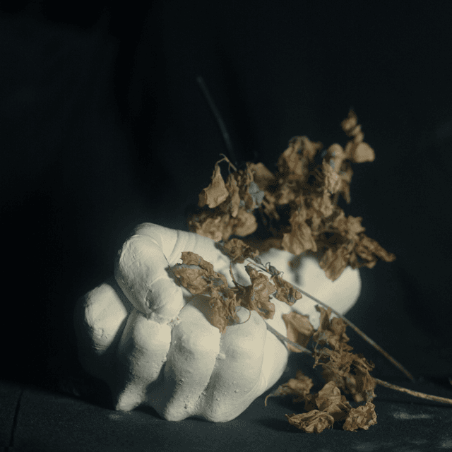 Dead Meat by Pain Magazine